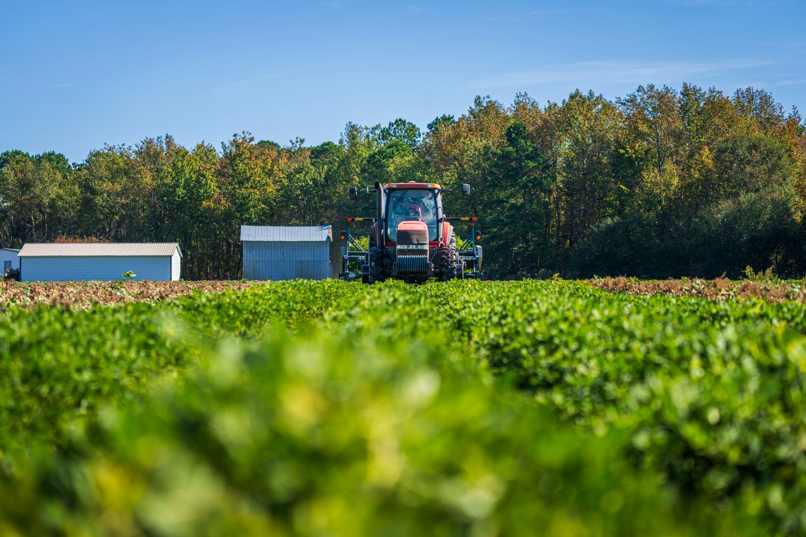 Tracteur dans un champ